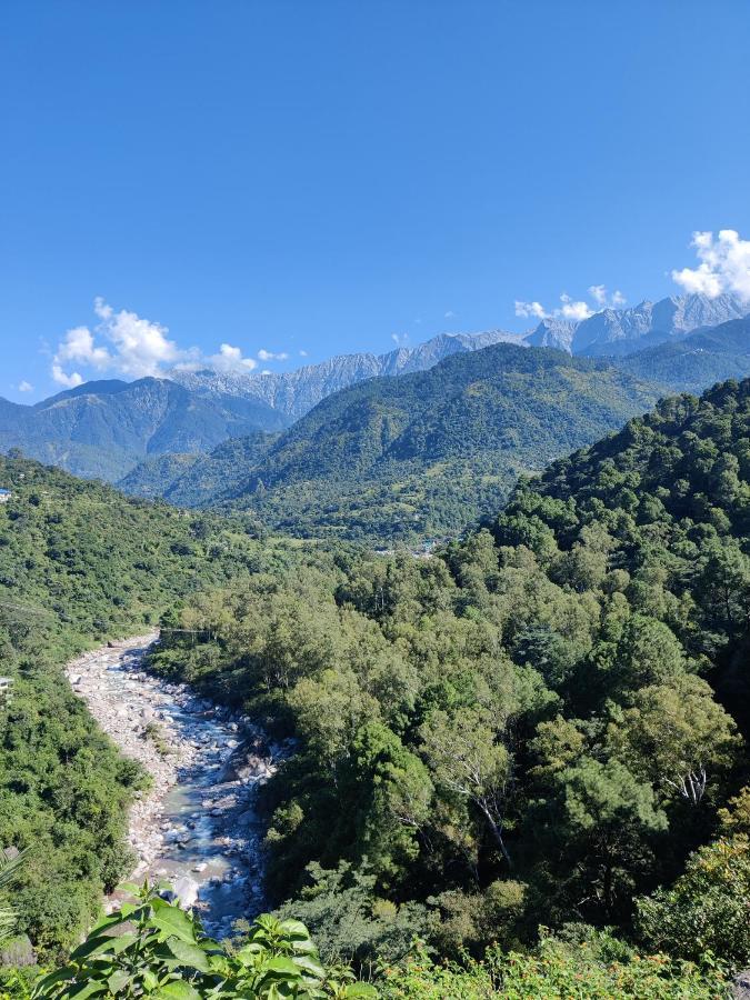 Dhauladhar View Village Resort Dharamshala Ngoại thất bức ảnh