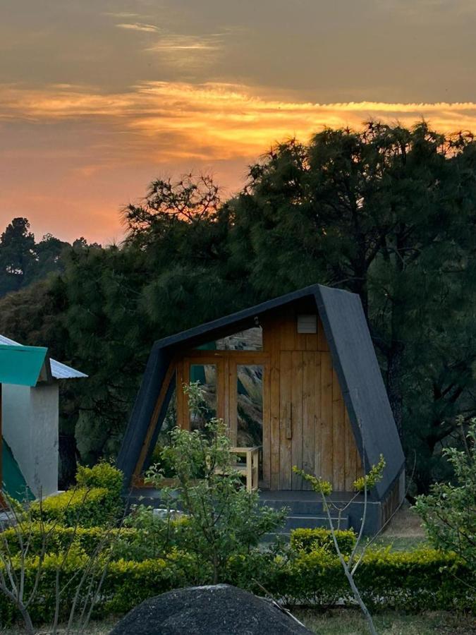 Dhauladhar View Village Resort Dharamshala Ngoại thất bức ảnh