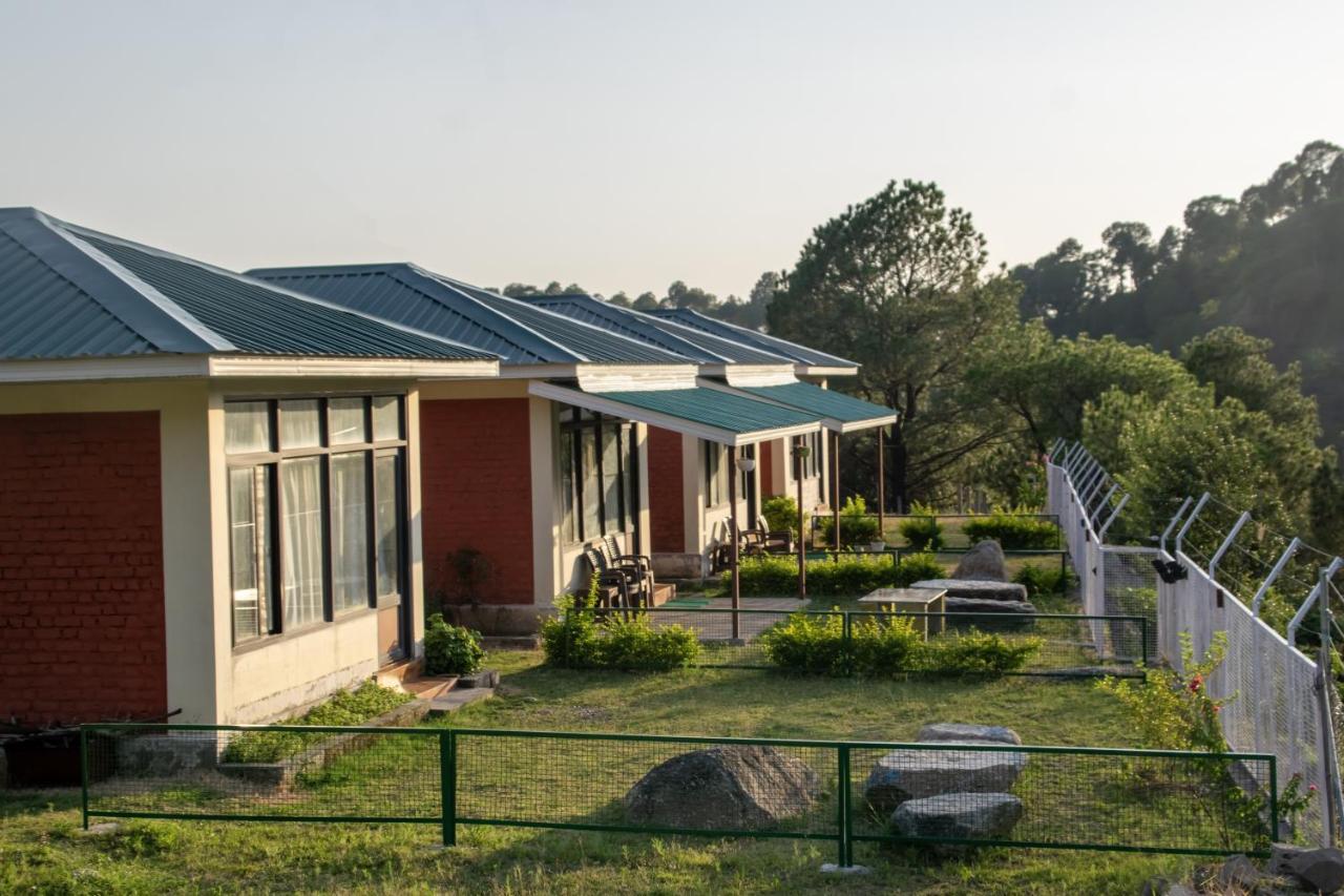 Dhauladhar View Village Resort Dharamshala Ngoại thất bức ảnh