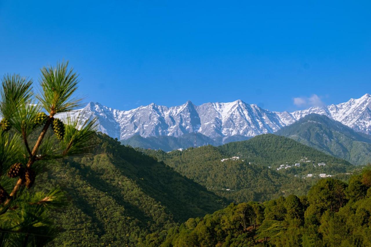 Dhauladhar View Village Resort Dharamshala Ngoại thất bức ảnh
