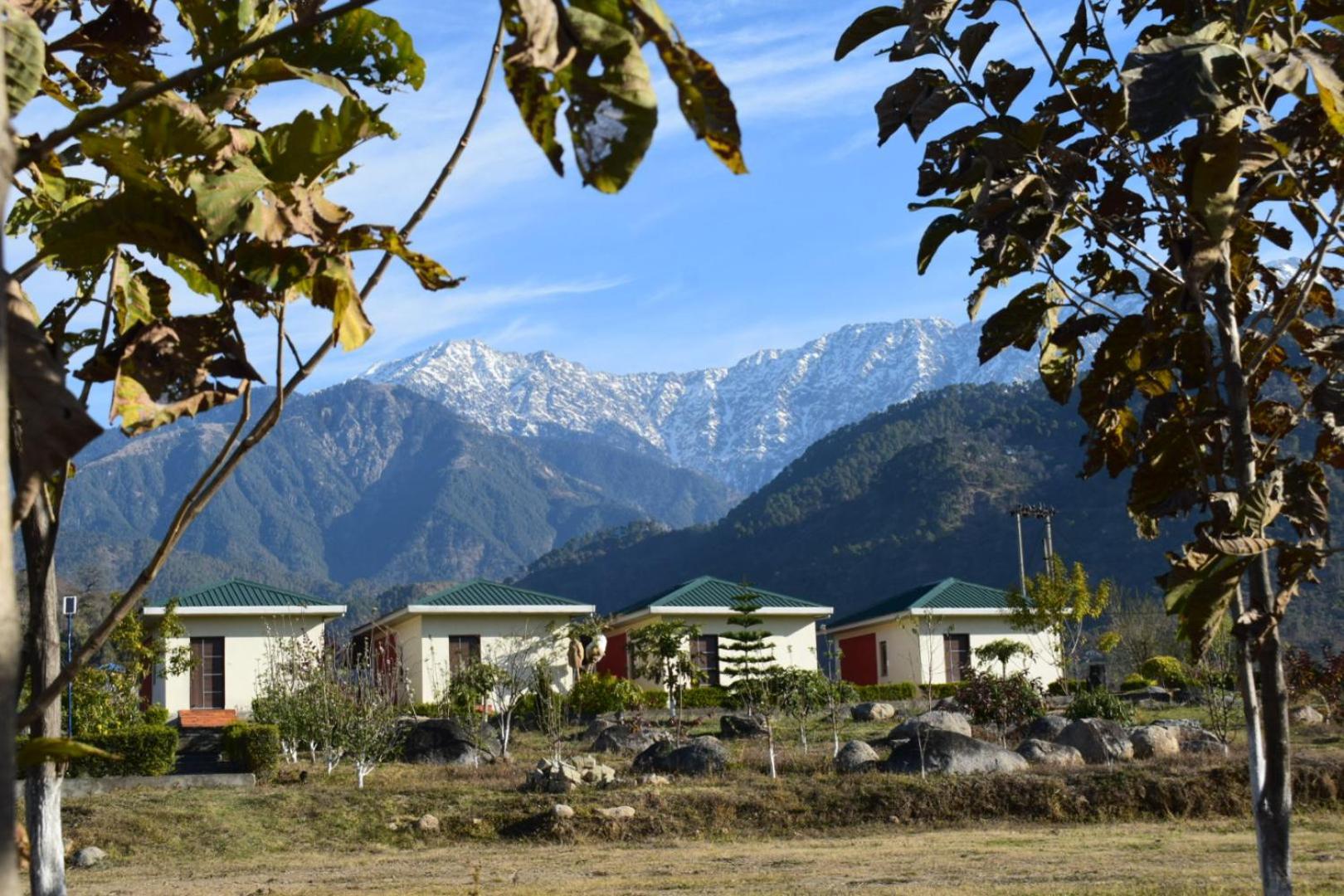 Dhauladhar View Village Resort Dharamshala Ngoại thất bức ảnh